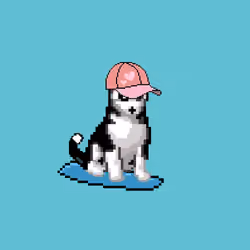Hilarious Huskies 147