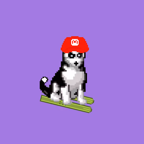 Hilarious Huskies 74