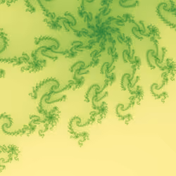 #250 - Shallow Kiwi Helix
