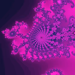 #1902 - Surface Space Attractor
