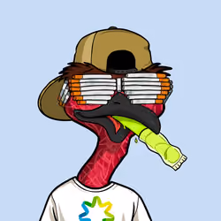 DB Bush Chook #380