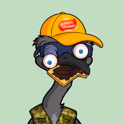 DB Bush Chook #501