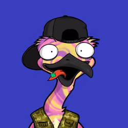 DB Bush Chook #682