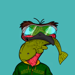 DB Bush Chook #260