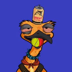 DB Bush Chook #782