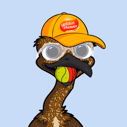 DB Bush Chook #453