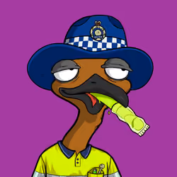 DB Bush Chook #305