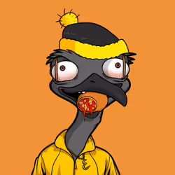 DB Bush Chook #566