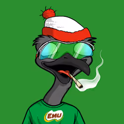 DB Bush Chook #1411