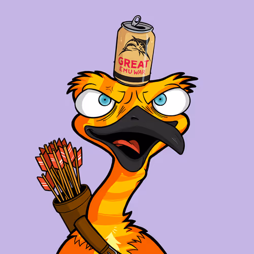 Db Bush Chooks