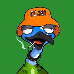 DB Bush Chook #1763