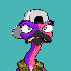 DB Bush Chook #384