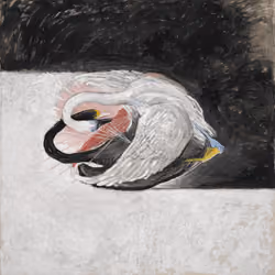 The Swan (Svanen), No.3