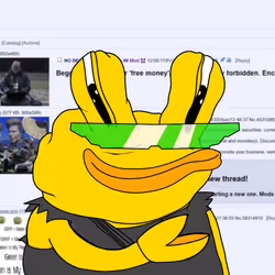 431