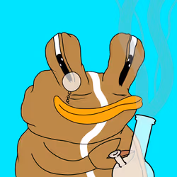 331