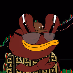 243
