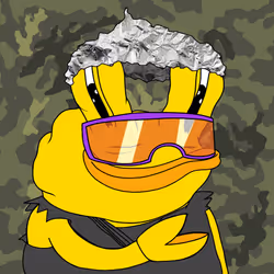 627