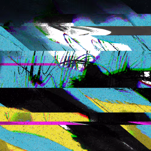 Disturbance 5