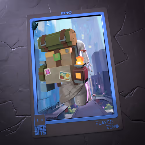 Wanderer’s Pack
