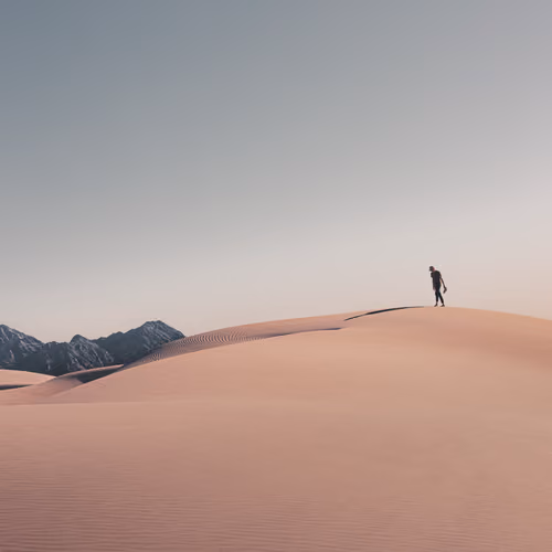 Facing Shadows
