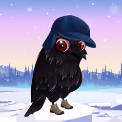 #2553 Crow Buddy