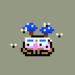 Baby Toad #1806