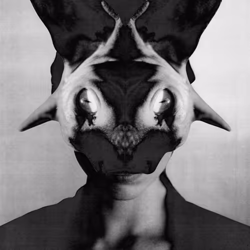 33 Curated Drop Featuring Jesse Draxler And Fabio