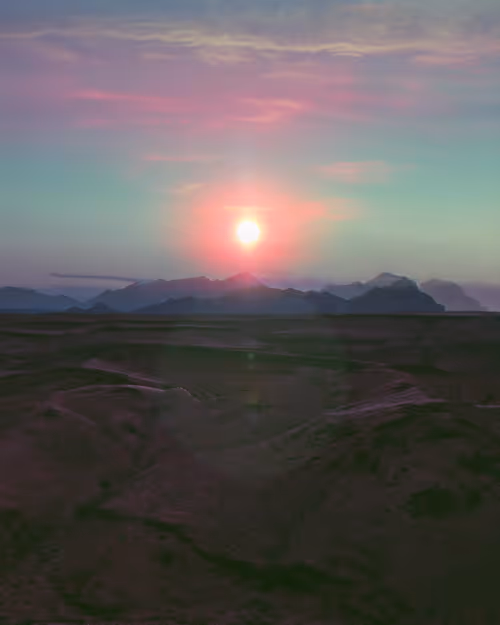 Item #22100010081 Media