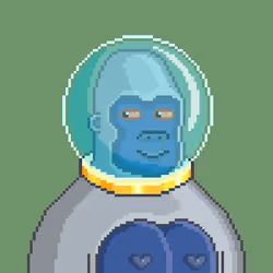 Moon Kong #1558