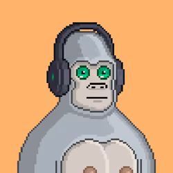 Moon Kong #1308