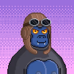 Moon Kong #1764