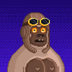 204
