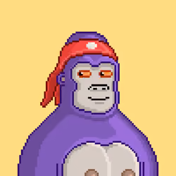 Moon Kong #1768