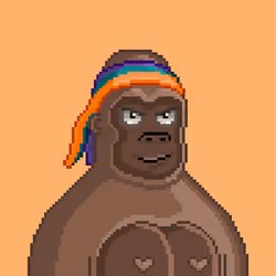 Moon Kong #1036