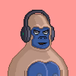 800