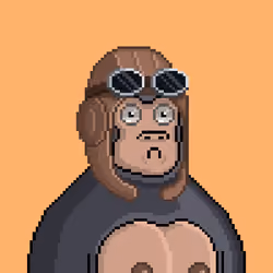 Moon Kong #1559
