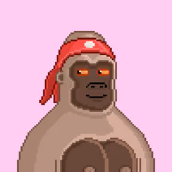 Moon Kong #1450