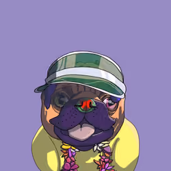 Dog #1