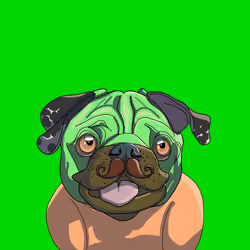 Top Dog #4695