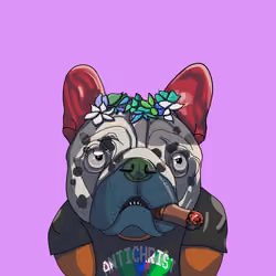 Top Dog #2893