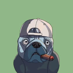 Top Dog #6645