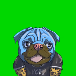Top Dog #1785