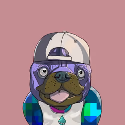 Top Dog #5504
