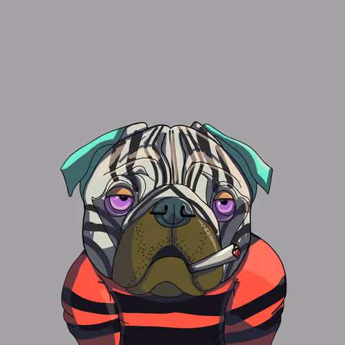 UGA X