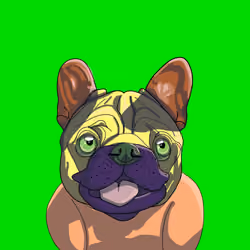 Top Dog #3788
