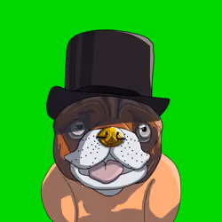 Top Dog #69