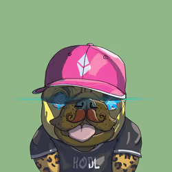 Top Dog #3312