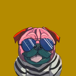 Top Dog #2896