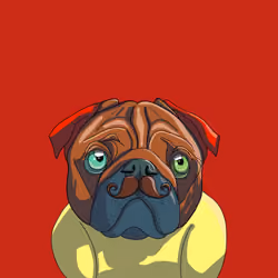 SHE'S THE FIRST: Top Dog #986