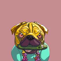 Top Dog #6381